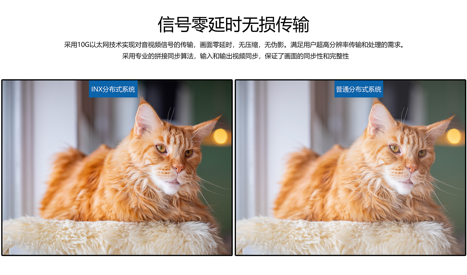 信号零延时无损传输