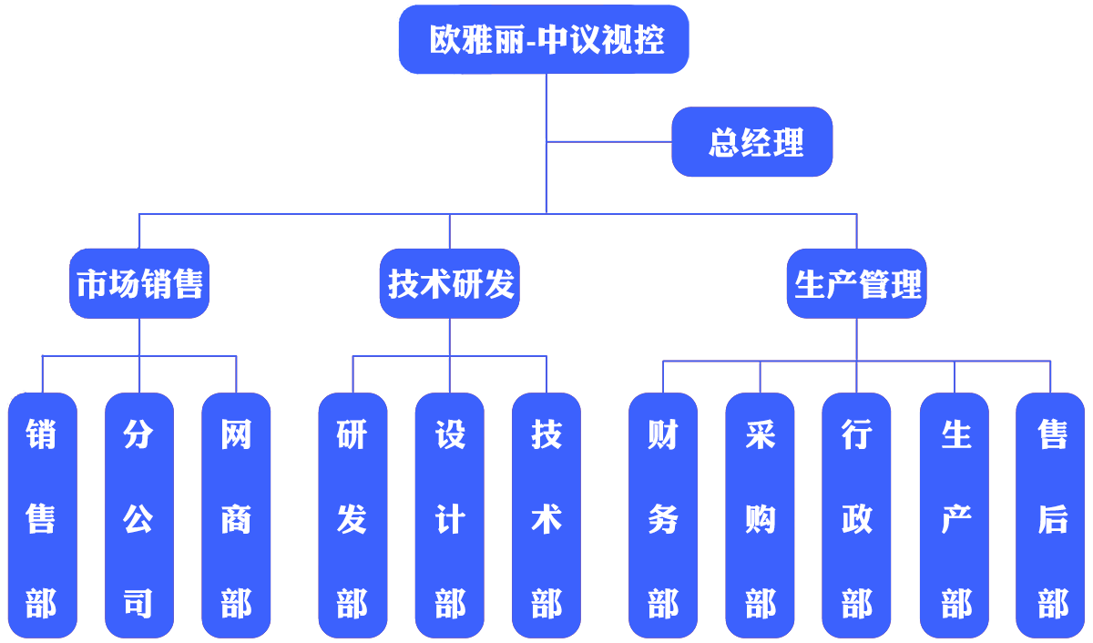 广州欧雅丽信息技术有限公司组织架构